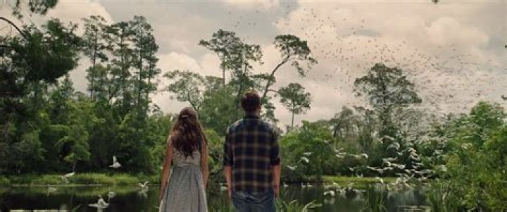 Where the Crawdads Sing interview Daisy EdgarJones and Taylor John