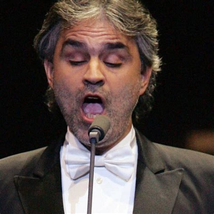 Who Is Andrea Bocelli's Wife, Veronica Berti? A Look at Andrea