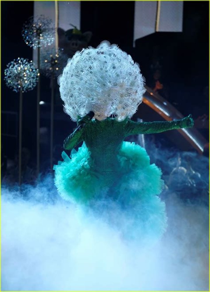 Who Is Dandelion On The Masked Singer