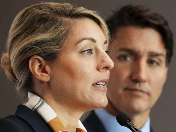 Who is Felix Marzell? Wiki, Age, Biography, Wife Melanie Joly, Parents, Origine, Net Worth 2023, Photo, & More 1 Who is Felix Marzell?