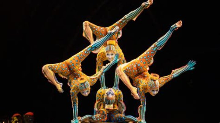Who Is Hayden Hopkins Cirque Du Soleil Dancer Mystery Girl Seen Sitting