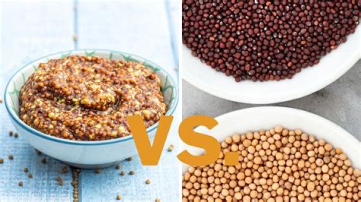 Whole Grain Mustard A Versatile Condiment Thoroughly Nourished Life