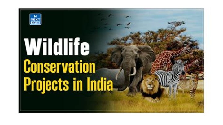 Wildlife Conservation And Reality TV Star