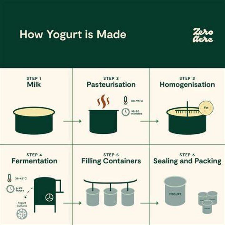 Yogurt Making Process Discount Offers, Save 49 jlcatj.gob.mx